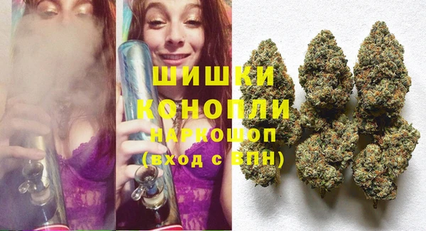 ECSTASY Богородицк