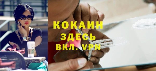 ПСИЛОЦИБИНОВЫЕ ГРИБЫ Богданович