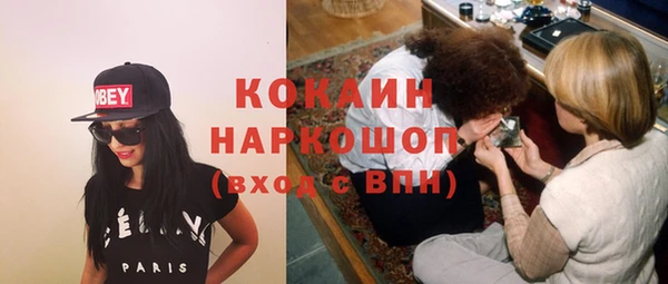 ECSTASY Богородицк