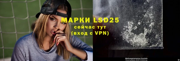 ПСИЛОЦИБИНОВЫЕ ГРИБЫ Богданович