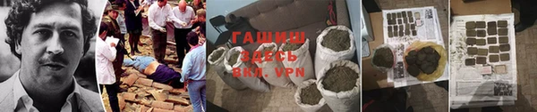 ПСИЛОЦИБИНОВЫЕ ГРИБЫ Богданович