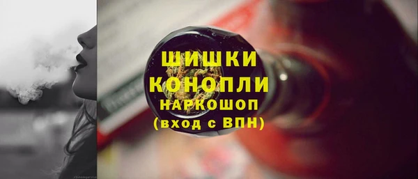 СК Богородск