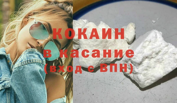 ПСИЛОЦИБИНОВЫЕ ГРИБЫ Богданович