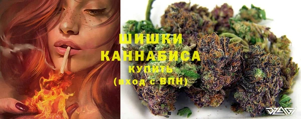 ECSTASY Богородицк