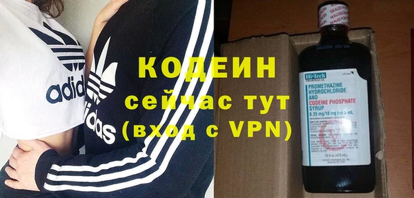 ПСИЛОЦИБИНОВЫЕ ГРИБЫ Богданович