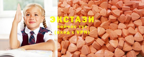 СК Богородск