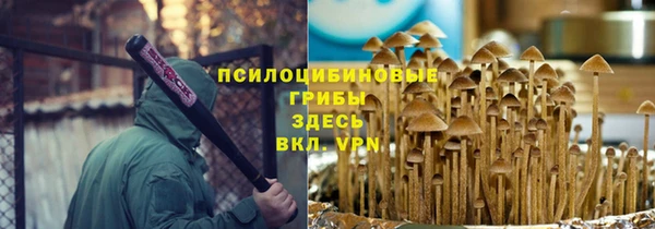 ПСИЛОЦИБИНОВЫЕ ГРИБЫ Богданович