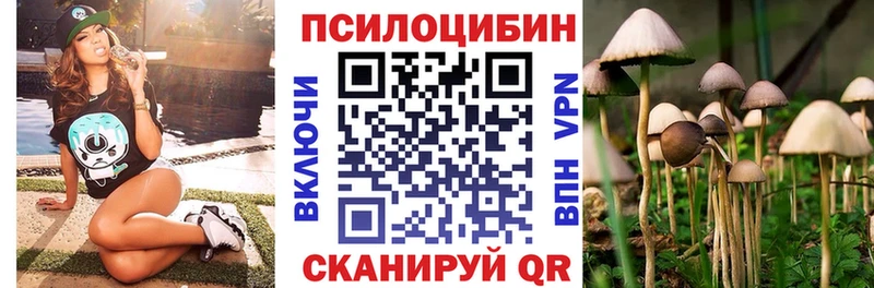 Псилоцибиновые грибы GOLDEN TEACHER  Среднеуральск 